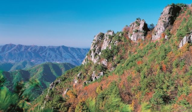 04. 서대산 산꽃세상.png