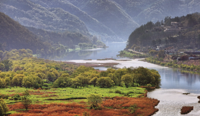 06. 금산인삼 세계농업유산 등재2.png