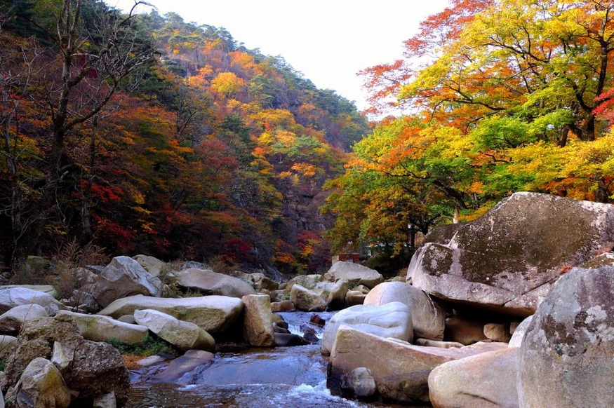 01.홍류동계곡.jpg