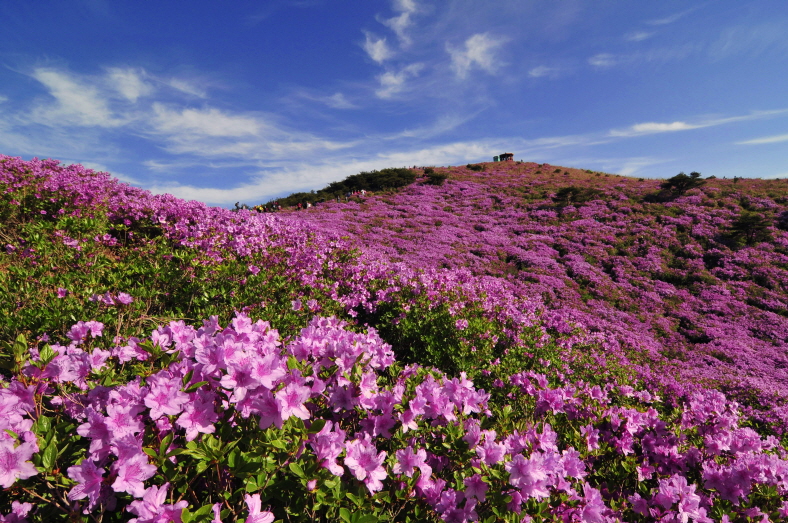 02.황매산 모산재.jpg